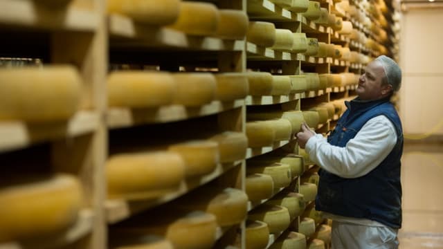 En France la filière Comté va produire 8% de moins sur les trois prochains mois.