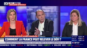 Philippe Pouletty: "les chercheurs britanniques publient deux fois plus que les français dans les meilleures revues scientifiques mondiales"