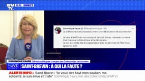 Dominique Faure, ministre déléguée chargée des Collectivités territoriales: "Je suis émue et triste de voir ce dont monsieur le maire a fait l'objet"