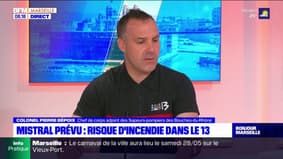 Sécheresse dans les Bouches-du-Rhône: pour le chef adjoint des pompiers du département, cela "augure d'une saison qui pourrait être compliquée" 