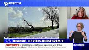 Tempête Domingos : quel bilan à dresser sur l'Île de Ré ? - 05/11