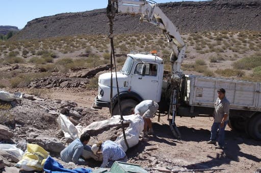 Les recherches ont eu lieu au pied de la Cordillère des Andes Les recherches ont eu lieu au pied de la Cordillère des Andes