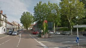 Le Creusot a subi plusieurs attaques d'arbres ces dernières semaines