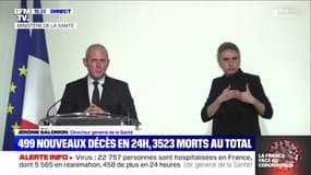 Le directeur général de la Santé annonce le départ mercredi "de deux TGV médicalisés de Paris vers la Bretagne"