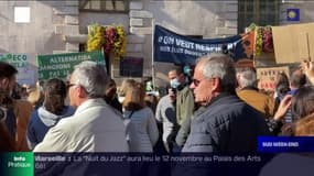 Marignane: près de 1000 personnes manifestent contre l'implantation de l'usine Satys, classée Seveso