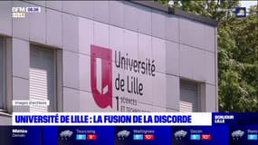 Université de Lille: la fusion de la discorde