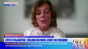 Côte d'Albâtre: des associations s'opposent au projet de deux nouveaux parcs éoliens
