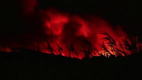 L'incendie qui touche le secteur de Narbonne (Aude) le 7 juillet 2025.