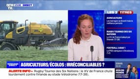 Écophyto suspendu : les écolos verts de rage - 02/02