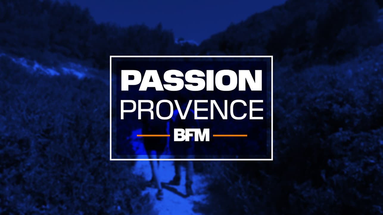 Passions Provence