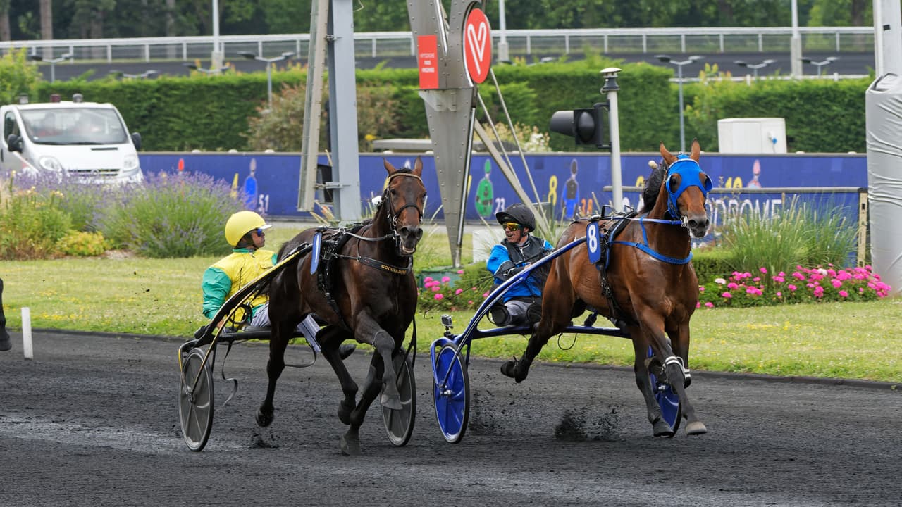 Prix d'Amérique Races Qualif 2 Etonnant remet son titre en jeu