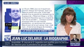 Jean-Luc Delarue: La biographie