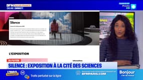 Silence: découvrez cette exposition à la Cité des sciences