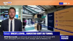 Après une activité prospère en 2023, Eurostar veut commander 50 trains d'ici 2030