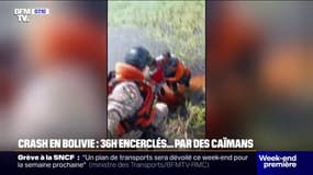 Bolivie: 36h encerclés par des caïmans après le crash d'un avion