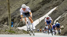 Mathieu van der Poel dans une descente sur le Tour de France 2024