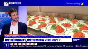 Menu sans viande à Lyon: "C'est une catastrophe écologique cette décision" juge Andréa Kotarac 