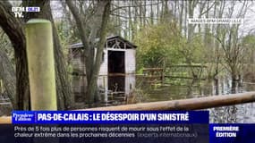 Inondations dans le Pas-de-Calais: ce refuge pour animaux submergé par les eaux 