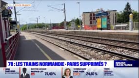 Yvelines: les trains Normandie-Paris supprimés?