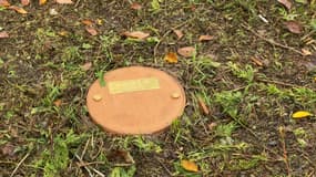 Les sépultures pensées par la Ville de Strasbourg