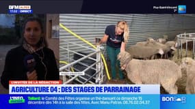 Alpes-de-Haute-Provence: un forum concernant la transmission des exploitations agricoles