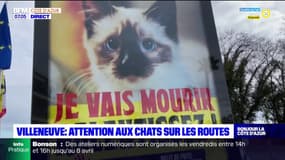 Villeneuve-Loubet : un chaton pour inciter les automobilistes à ralentir