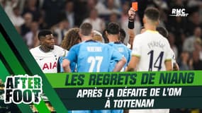 Tottenham 2-0 Marseille : "Il y avait la possibilité de prendre un point ce soir", regrette Mamadou Niang
