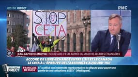 Ceta: "L'accord n'autorise pas de bœufs OGM ni de saumons transgéniques" assure Jean-Baptiste Lemoyne, secrétaire d'État sur RMC