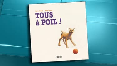 La couverture du livre "Tous à poil", fustigé par le président de l'UMP Jean-François Copé.