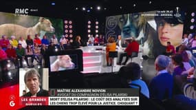 "Les analyses ADN c’est cher, encore lorsqu’il s’agit d’identification animale": les explications de l'avocat du compagnon d'Elisa Pilarski, sur l'ADN des chiens, toujours pas analysé