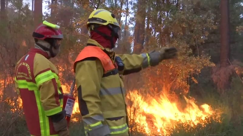 Des pompiers déclenchant un contre-feu dans le Gard en juin 2022