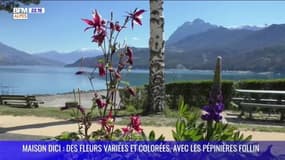 Maison DICI : Des Fleurs variées et colorées, avec les pépinières Follin