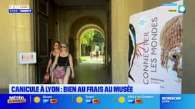 Lyon: pour chercher la fraîcheur pendant la canicule, les musées pris d'assaut