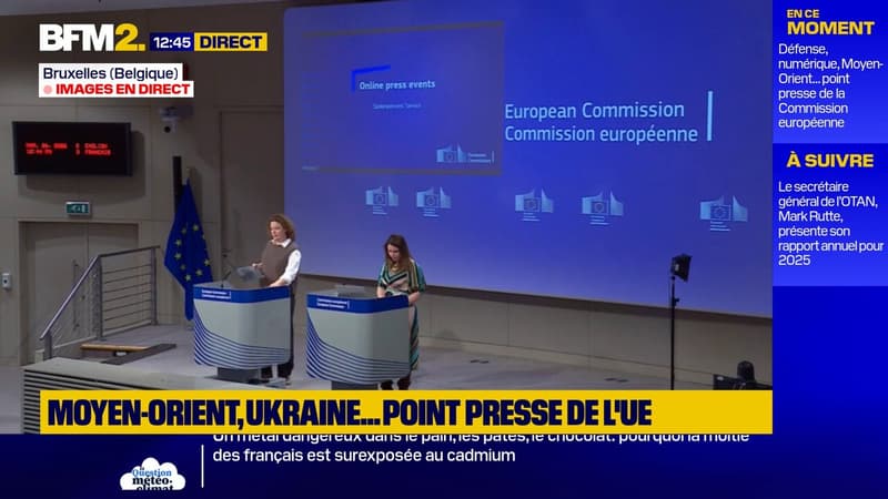 Grippe aviaire: la Commission européenne confirme "un premier cas de transmission à l'espèce humaine", en Italie