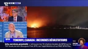 Story 6 : Tenerife, Canada... incendies dévastateurs - 21/08