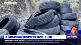 Gorges du Loup: une opération pour enlever les pneus retrouvés dans le fleuve