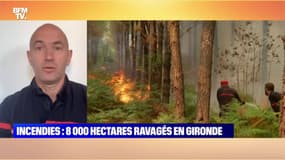 Incendies : 8 000 hectares ravagés en Gironde - 16/07