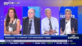 Les Experts : Croissance, "la torpeur" c'est maintenant ? (Insee) - 08/09