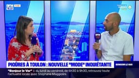 Piqûres à Toulon: Sébastien Soulé, secrétaire départemental du syndicat Alliance Police, appelle à la vigilance 