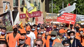 Des manifestants participent à une manifestation de chasseurs pour dénoncer l'interdiction de la chasse à la glu, à Prades, dans le sud-ouest de la France, le 12 septembre 2020.