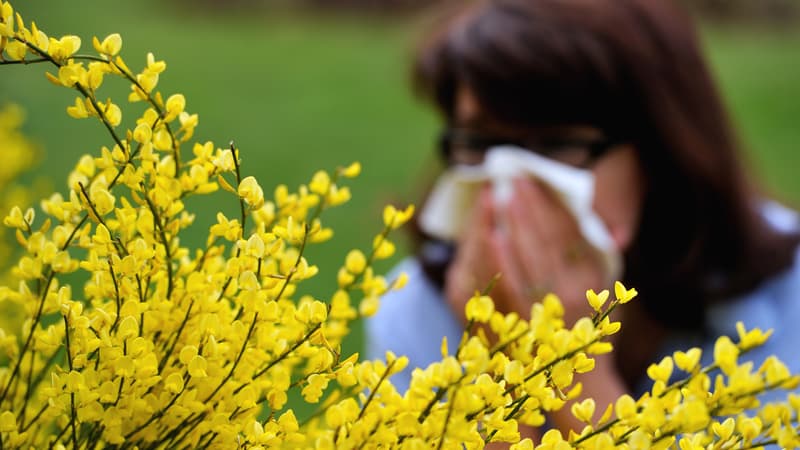 La saison des allergies a débuté. (photo d'illustration)
