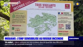 Alpes-Maritimes: l'Office national des forêts sensibilise aux risques d'incendies à Mouans