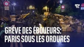 Grève des éboueurs : Paris sous les ordures