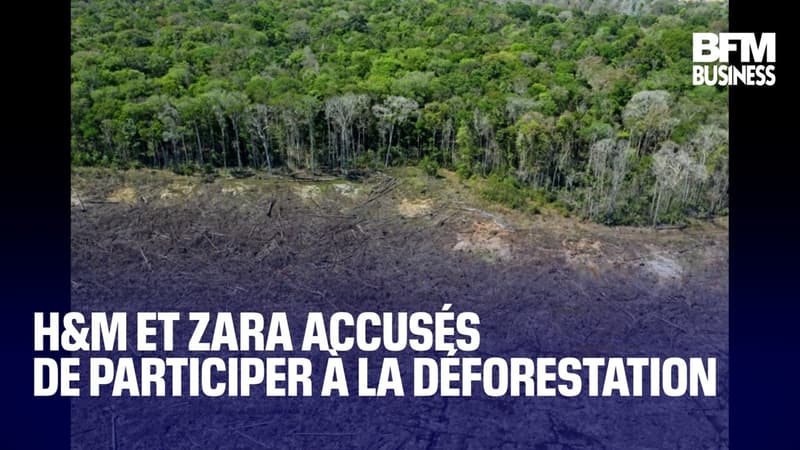 H&M et Zara accusés de participer à la déforestation