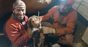 Depuis sa chute samedi au cours d'une partie de chasse, le teckel de 6 ans était coincé au fond d'un aven obstrué par une pierre.&nbsp;