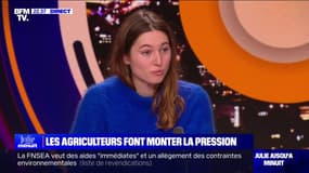 Camille Étienne (militante écologiste): "J'entends cette colère agricole qui est le résultat d'une politique néolibérale dérégulée plutôt que de mesures environnementales" 