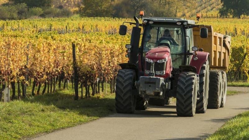 Cette trêve "va apporter un soulagement aux exportateurs qui, depuis 18 mois, subissent ces taxes injustes issues d'un conflit qui leur est étranger", a réagi la Fédération des Exportateurs de Vins et Spiritueux de France