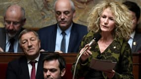 Martine Wonner à l'Assemblée nationale, le 14 novembre 2017