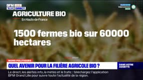 Quel avenir pour la filière agricole bio dans les Hauts-de-France?