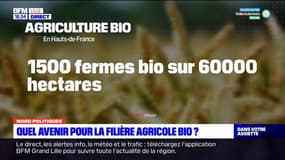 Quel avenir pour la filière agricole bio dans les Hauts-de-France?